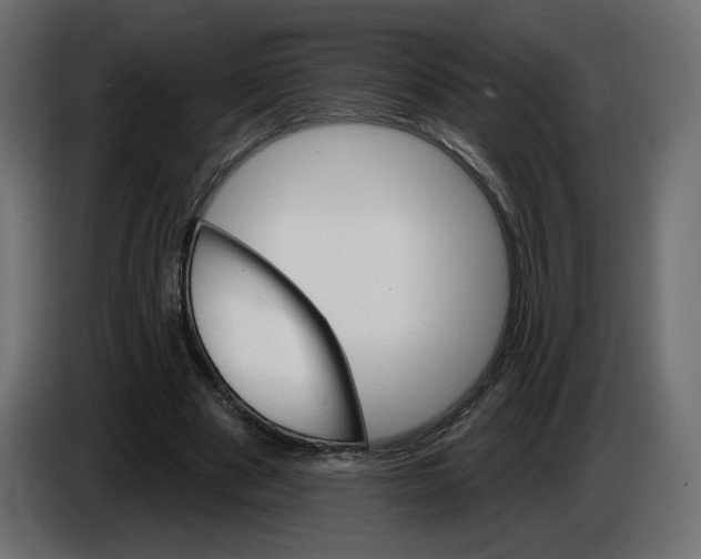 X0000084520489200703231634