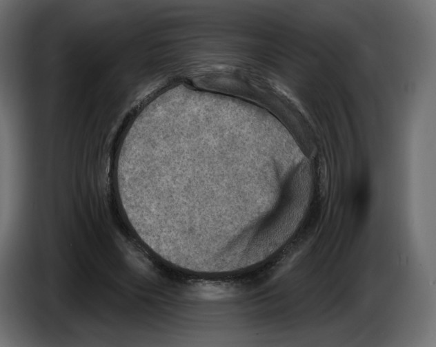 X0000084520490200703231634