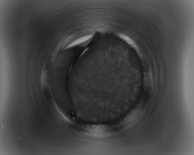 X0000084520493200703231634