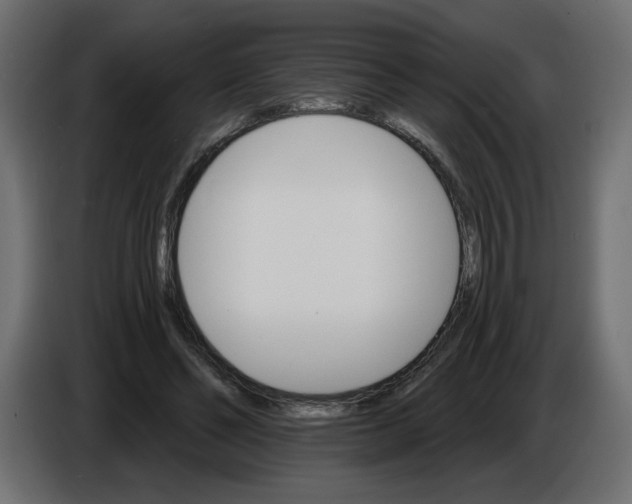 X0000084520494200703231634