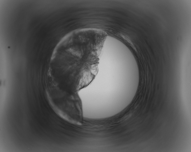 X0000084520495200703231634