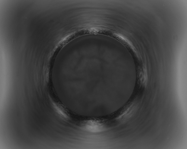 X0000084520496200703231634