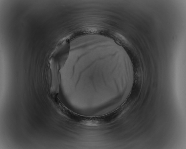 X0000084520500200703231634