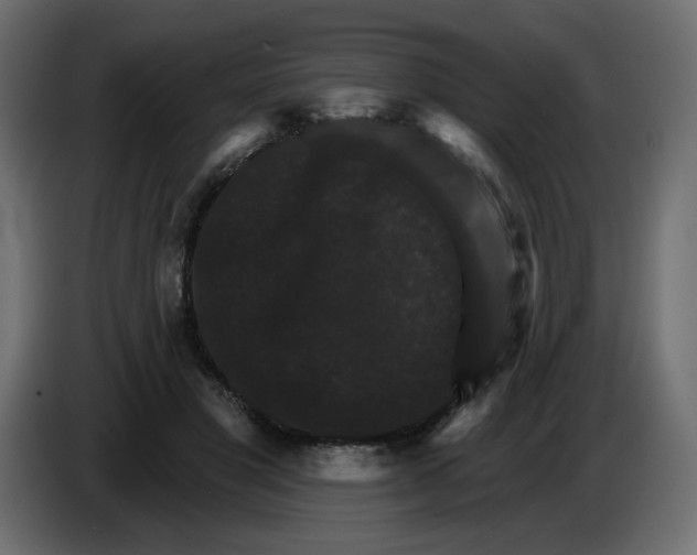X0000084520501200703231633