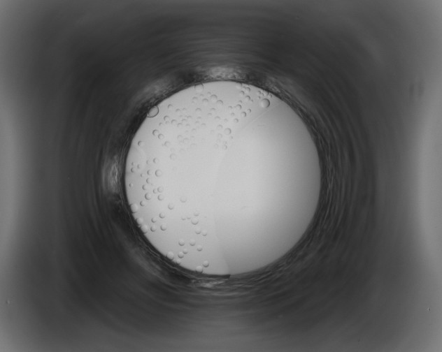 X0000084520502200703231633