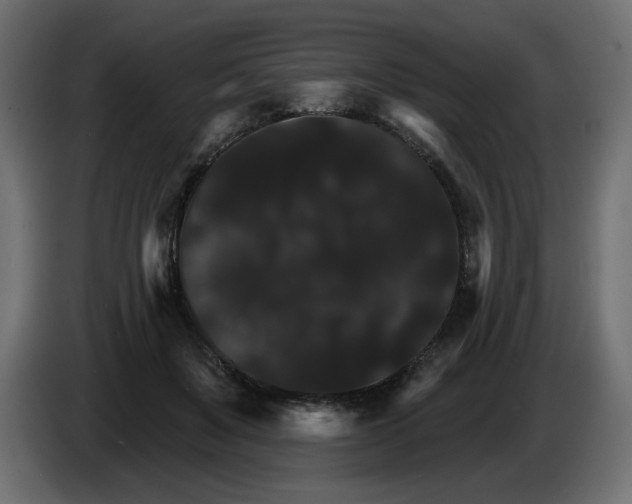X0000084520503200703231633