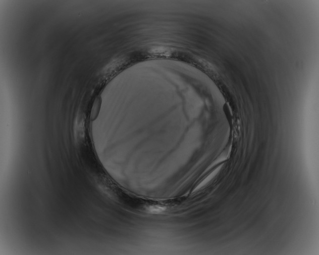 X0000084520504200703231633