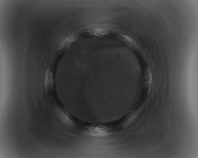 X0000084520506200703231633