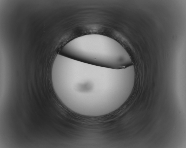 X0000084520509200703231633