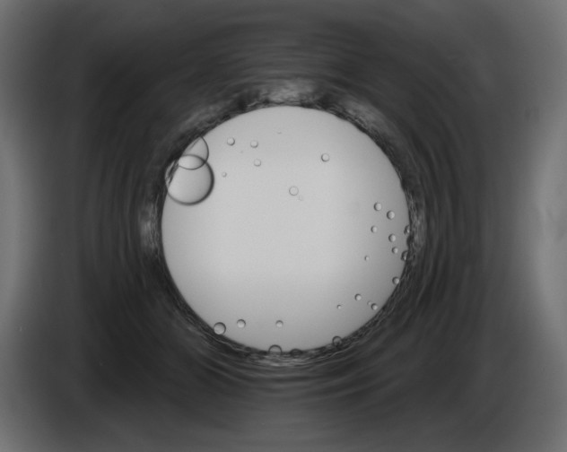 X0000084520510200703231633