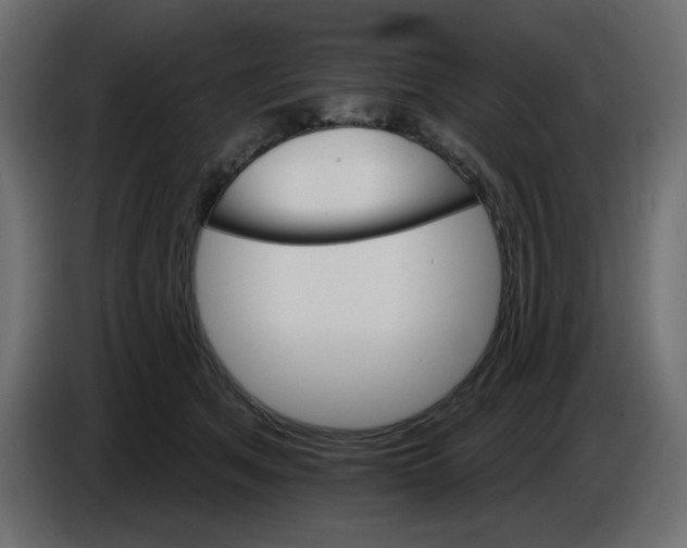 X0000084520513200703231633
