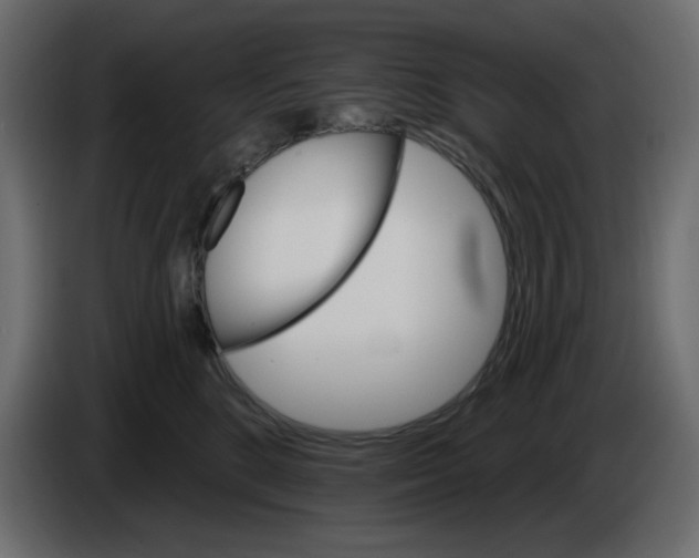 X0000084520520200703231633