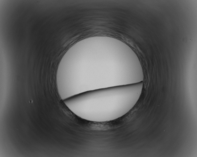 X0000084520521200703231633