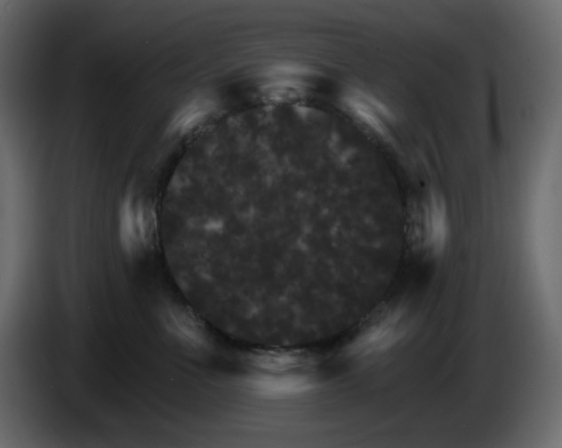 X0000084520523200703231633