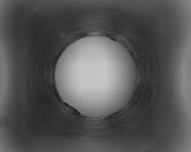 X0000084520524200703231633