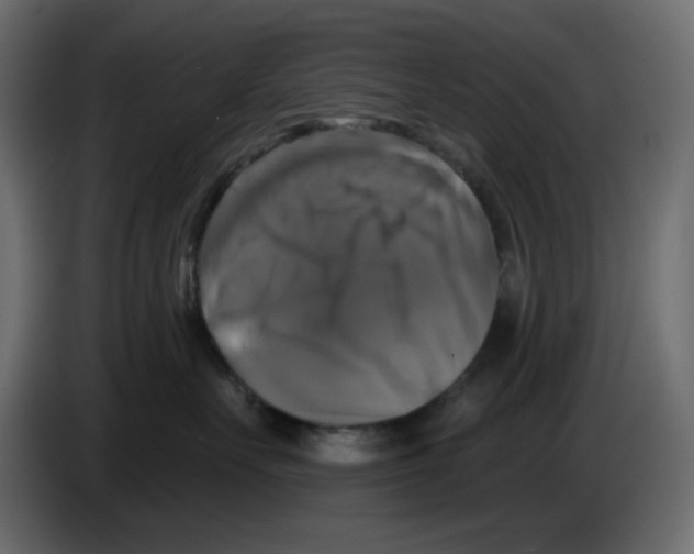 X0000084520527200703231633