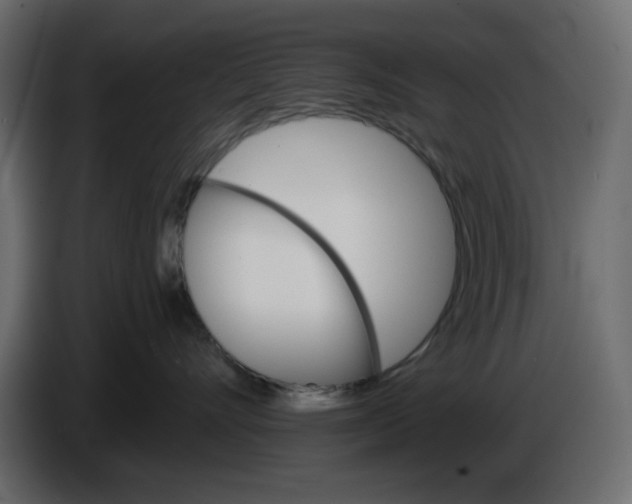 X0000084520528200703231633