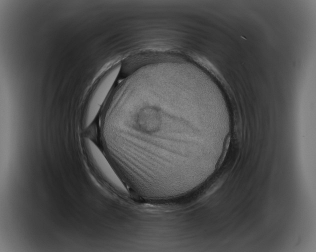 X0000084520530200703231632