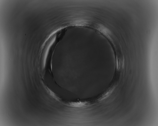 X0000084520531200703231632