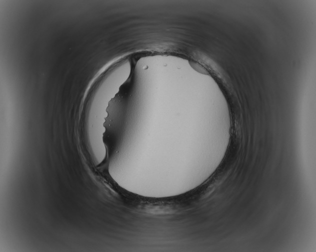 X0000084520532200703231632