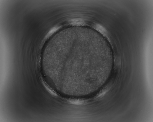 X0000084520533200703231632