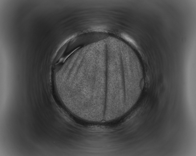X0000084520535200703231633