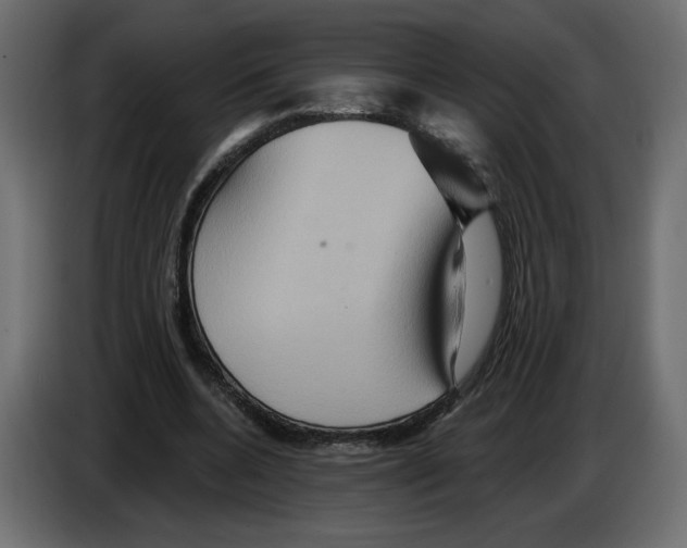 X0000084520536200703231633