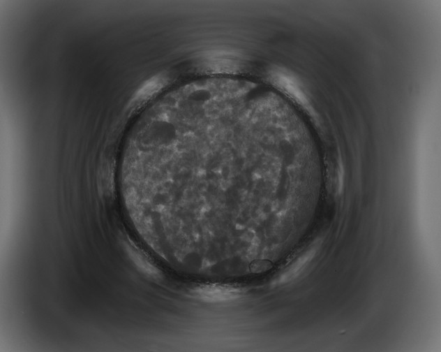 X0000084520537200703231633
