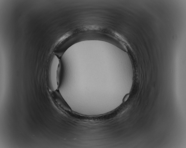 X0000084520538200703231633
