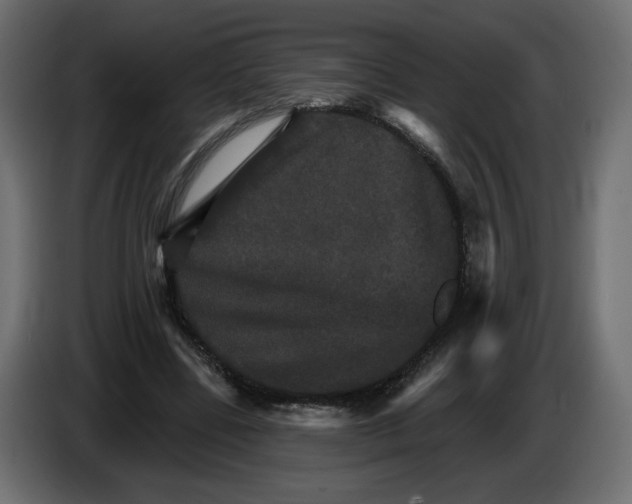 X0000084520539200703231633