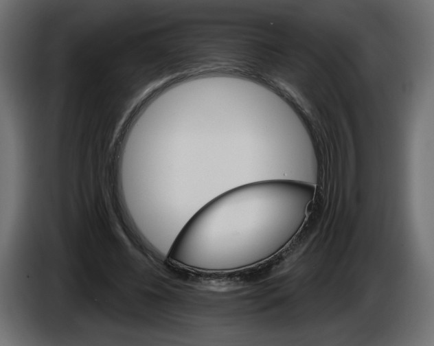 X0000084520540200703231633