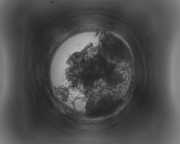 X0000084520541200703231633