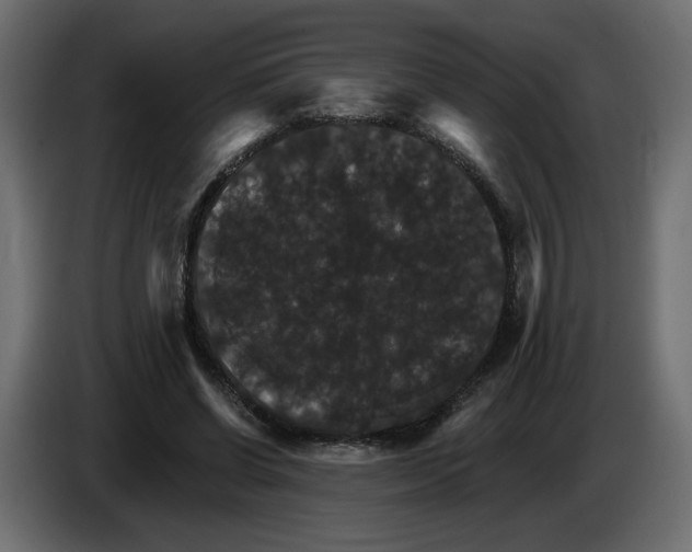 X0000084520542200703231633
