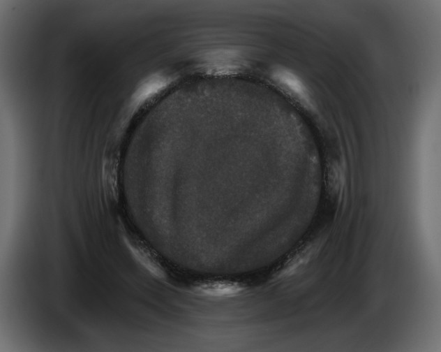 X0000084520543200703231633