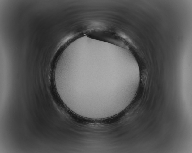X0000084520544200703231633