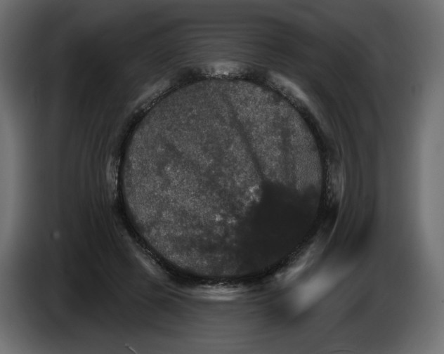 X0000084520545200703231633