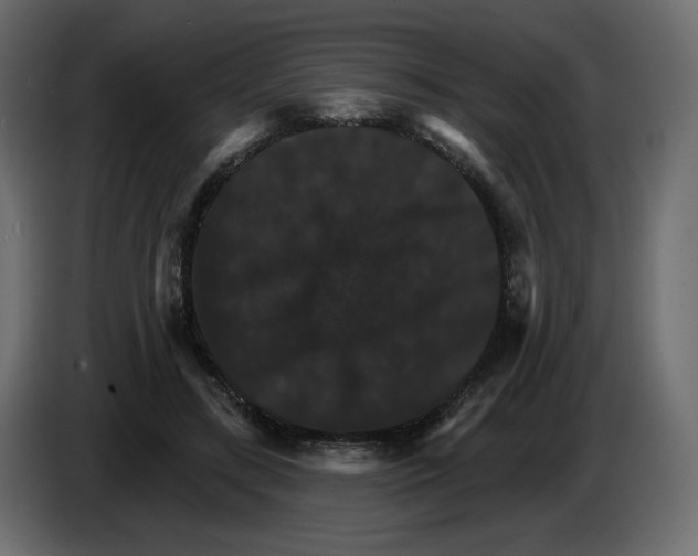 X0000084520547200703231633