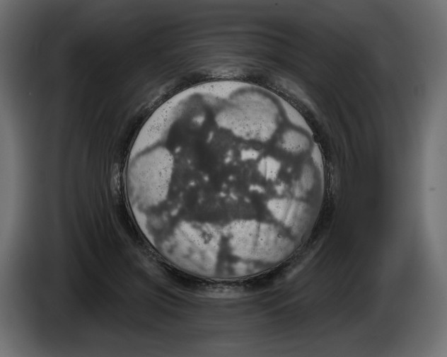 X0000084520549200703231633