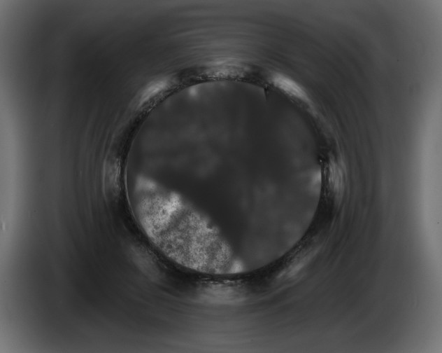 X0000084520550200703231633