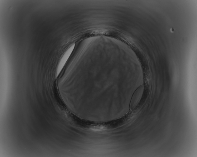 X0000084520551200703231633