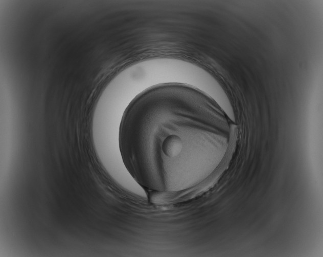 X0000084520552200703231633