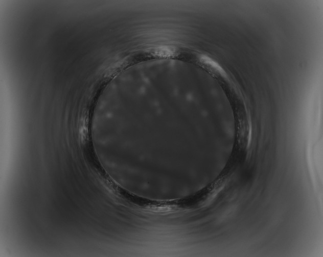 X0000084520553200703231633