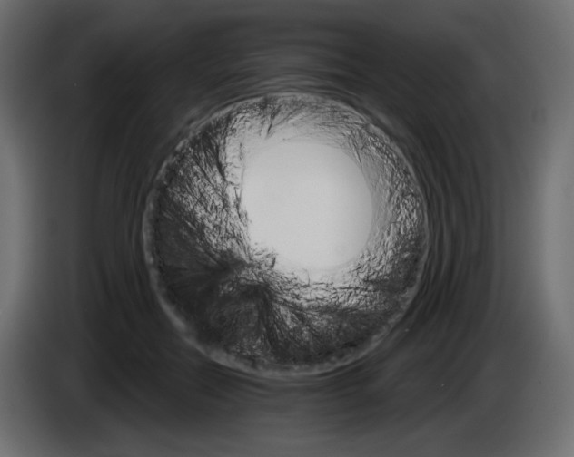 X0000084520554200703231633
