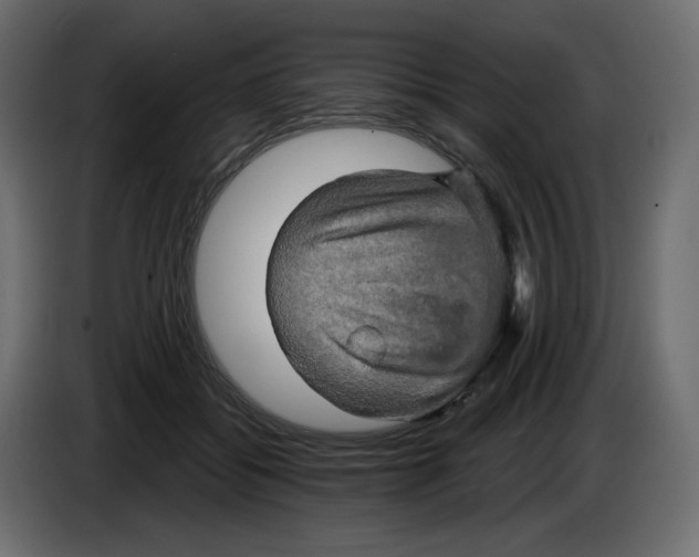 X0000084520556200703231633