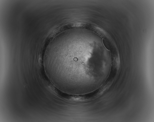 X0000084520557200703231633