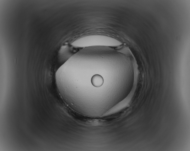 X0000084520558200703231633