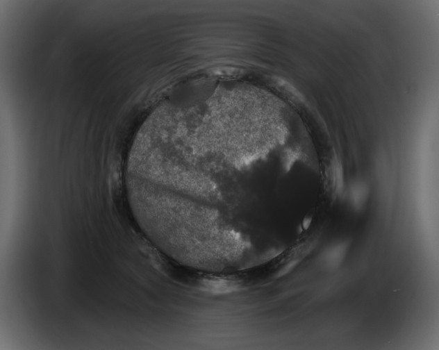 X0000084520561200703231633