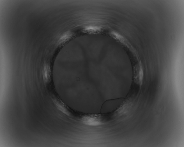 X0000084520563200703231633