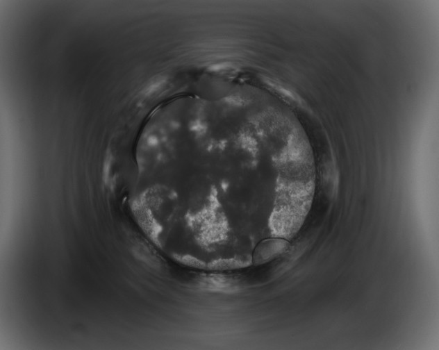 X0000084520565200703231633