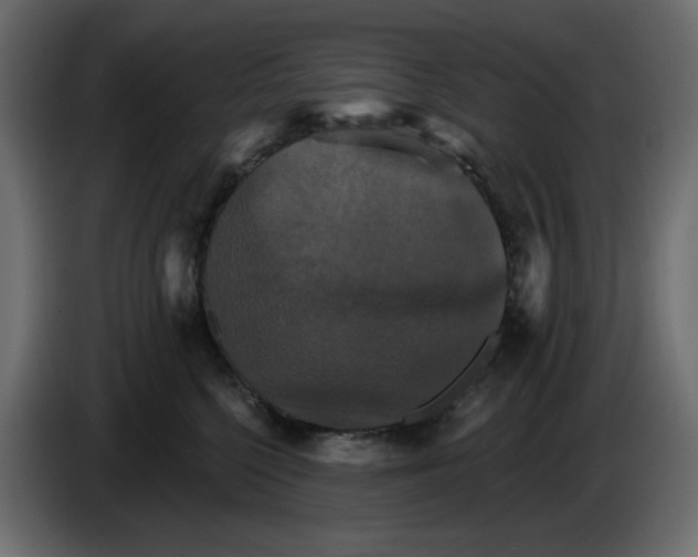 X0000084520568200703231633